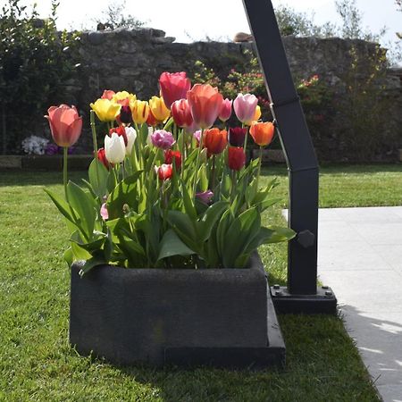 Appartamento Anna Brenzone sul Garda Exteriör bild