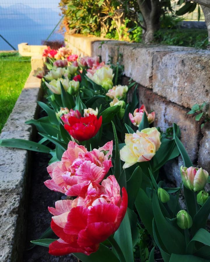 Appartamento Anna Brenzone sul Garda Exteriör bild