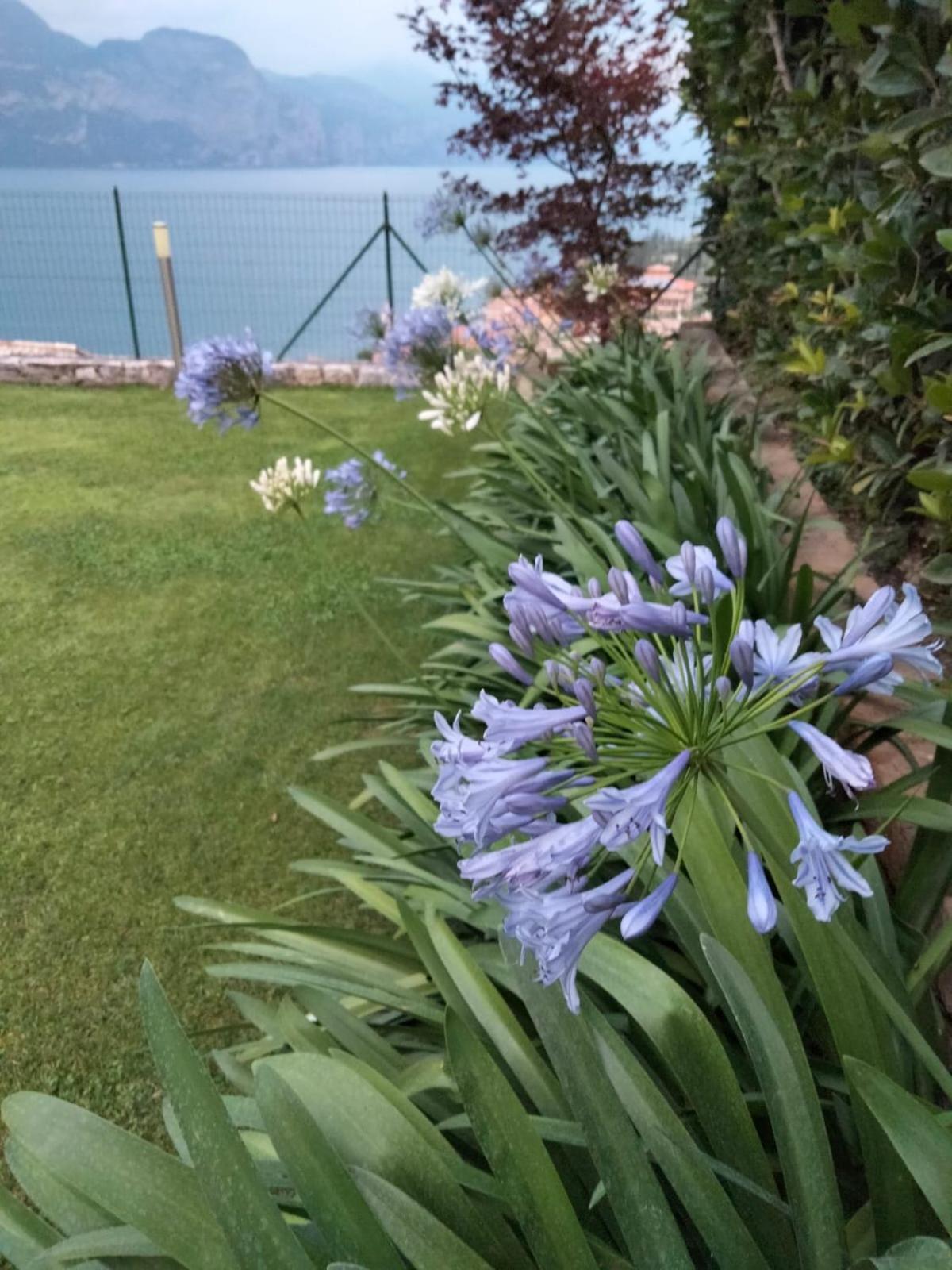 Appartamento Anna Brenzone sul Garda Exteriör bild