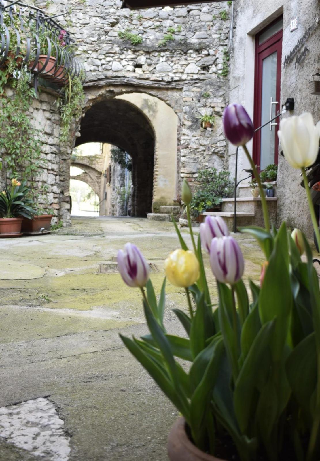 Appartamento Anna Brenzone sul Garda Exteriör bild